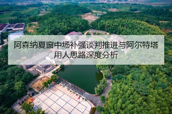 阿森纳夏窗中场补强谈判推进与阿尔特塔用人思路深度分析