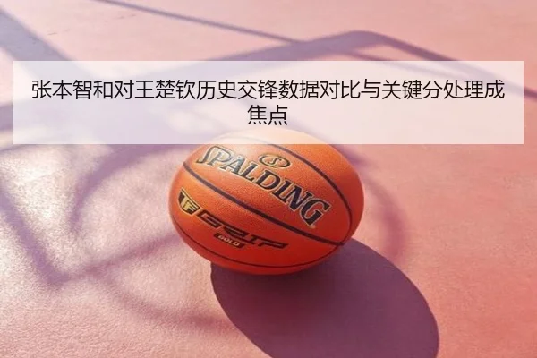 张本智和对王楚钦历史交锋数据对比与关键分处理成焦点
